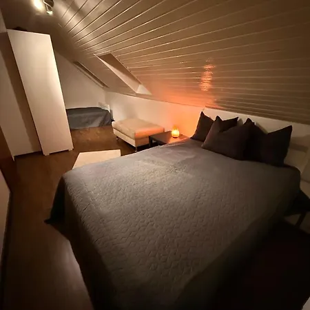 דירה Gemuetliche Wohnung, Heimkino, Couch & Kueche זיגן